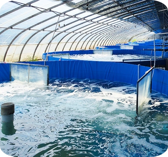 Aquaculture Water Quality Monitoring